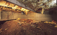 moldy-crawl-space