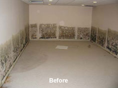 Foundation Repair