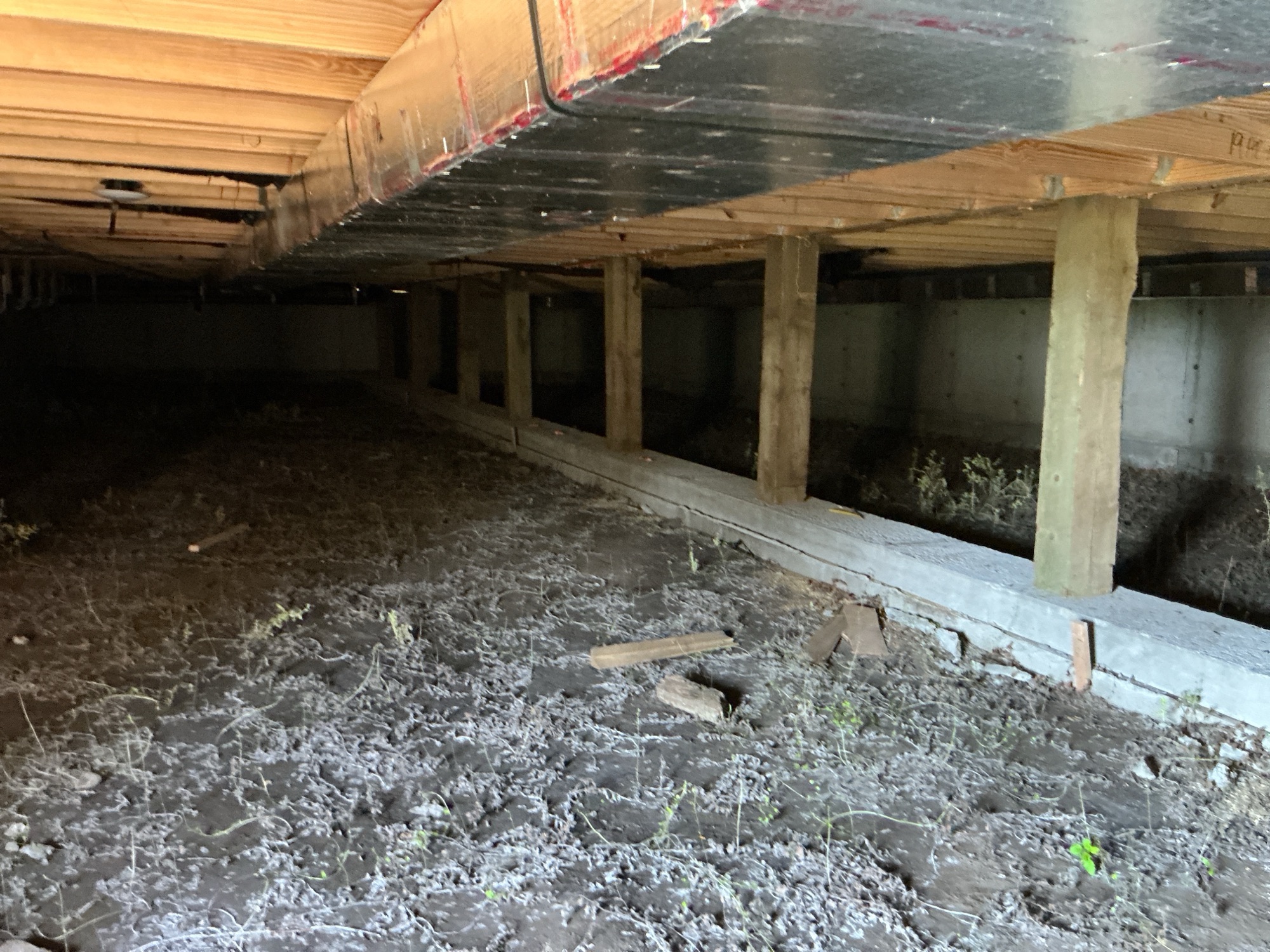 Crawl space in Reliance, SD before encapsulation, showing exposed soil and moisture-prone conditions.